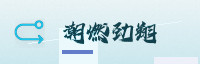 合作伙伴